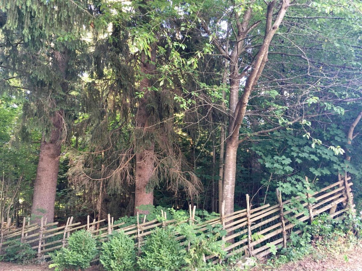 Naturforsthaus Gartenblick Fuer Hunde - Und Naturverbundene Menschen Preitenegg エクステリア 写真
