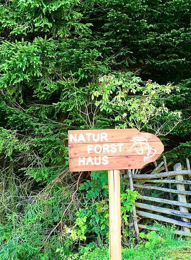 Naturforsthaus Gartenblick Fuer Hunde - Und Naturverbundene Menschen Preitenegg エクステリア 写真