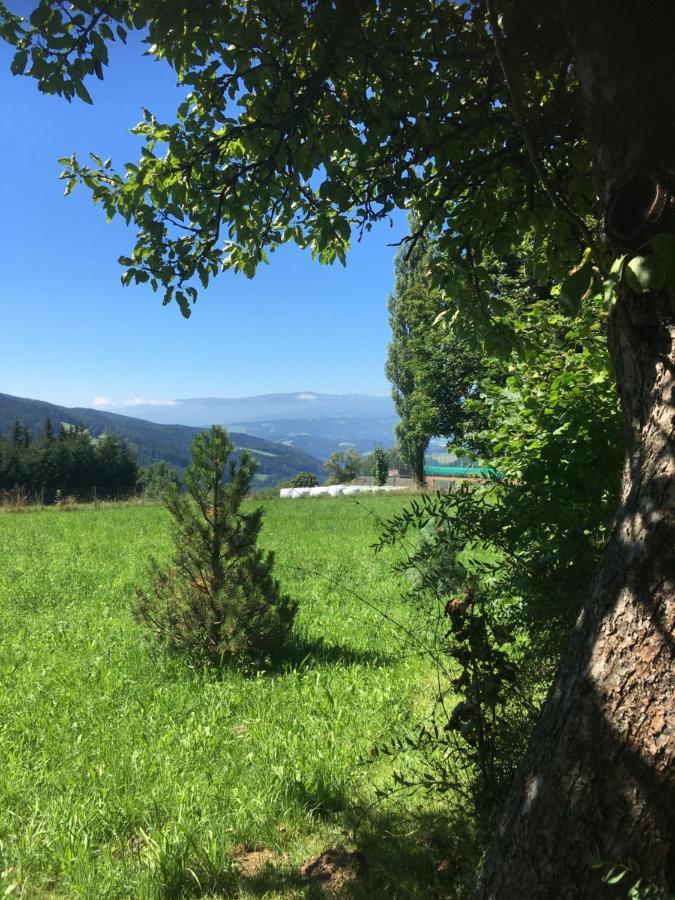 Naturforsthaus Gartenblick Fuer Hunde - Und Naturverbundene Menschen Preitenegg エクステリア 写真
