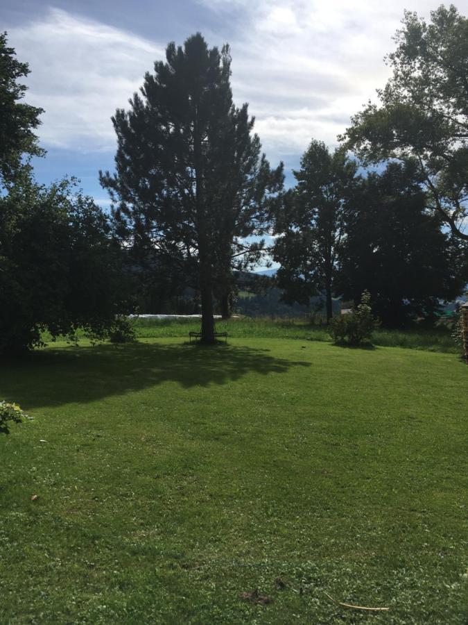 Naturforsthaus Gartenblick Fuer Hunde - Und Naturverbundene Menschen Preitenegg エクステリア 写真
