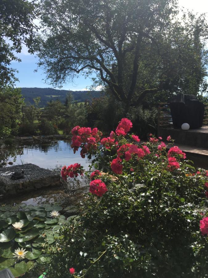 Naturforsthaus Gartenblick Fuer Hunde - Und Naturverbundene Menschen Preitenegg エクステリア 写真