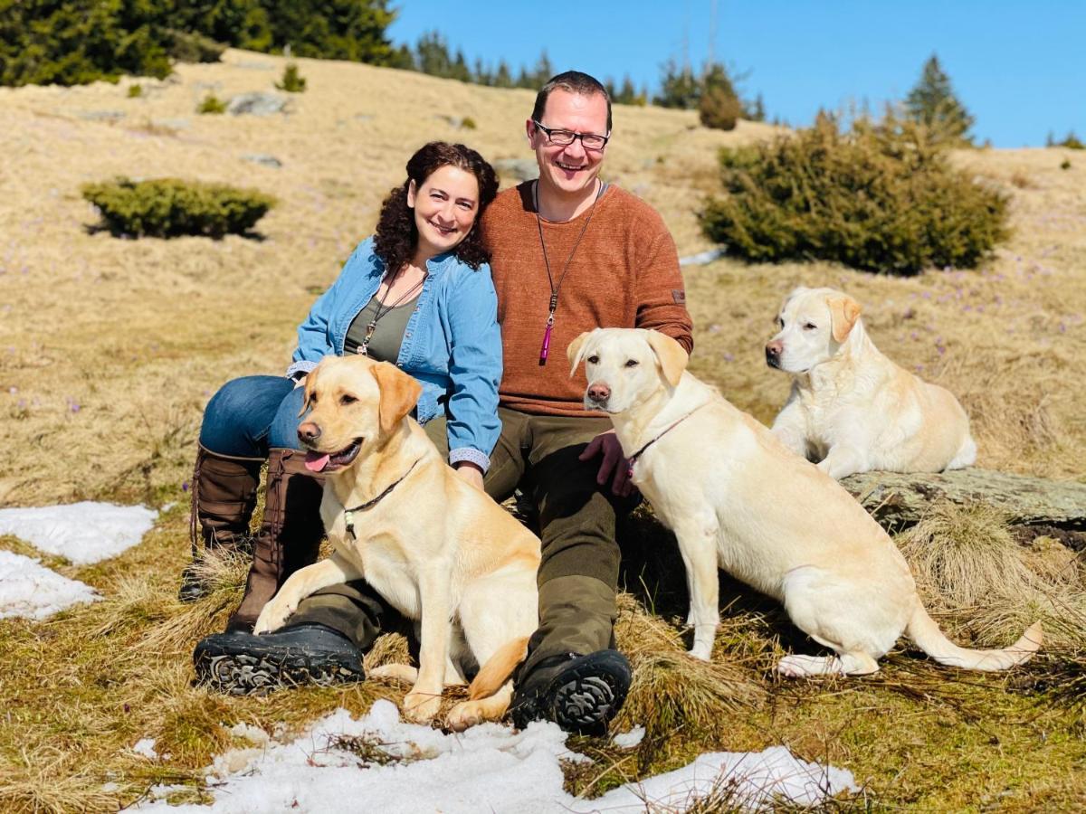 Naturforsthaus Gartenblick Fuer Hunde - Und Naturverbundene Menschen Preitenegg エクステリア 写真